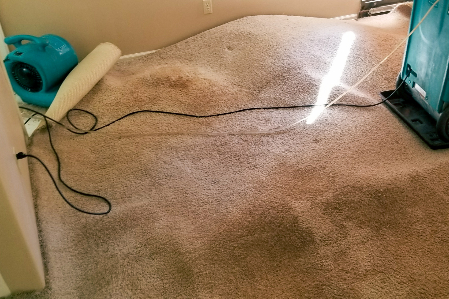 Professional drying equipment set up in a basement
