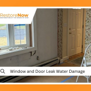 Window and Door Leak Water Damage