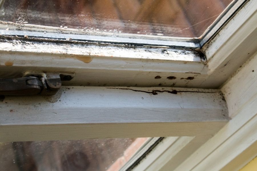 Close-up of water damage and deterioration on a residential window frame and sill